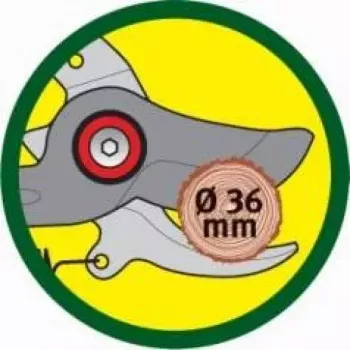Genėjimo žirklės WOLF-Garten RR-VM