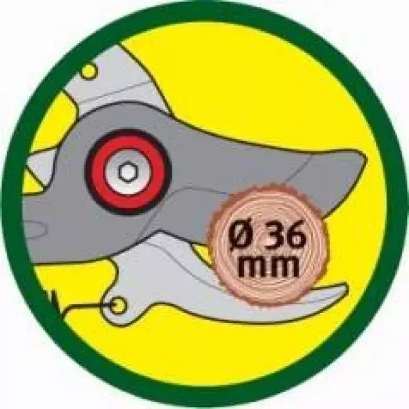 Genėjimo žirklės WOLF-Garten RR-VM