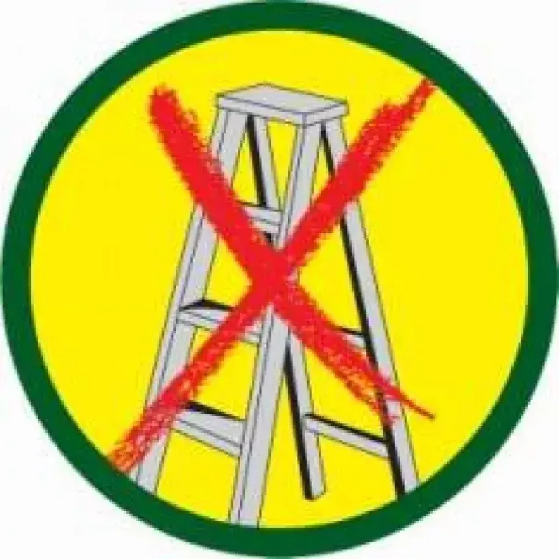 Genėjimo žirklės WOLF-Garten RR-VM
