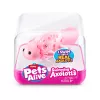 Minkštas žaislas Zuru Pets Alive Swimming Axolotls pliušinis aksolotlis, žaislinio katino dydis, modelis 9556UQ1