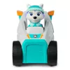 Spinmaster PAW Patrol Everest's Snow Plow – plastikinis sniego valymo automobilis, turkio/balta, nuo 3 m.
