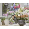 Akumuliatorinis purkštuvas Gardena 11114-20, 1 L