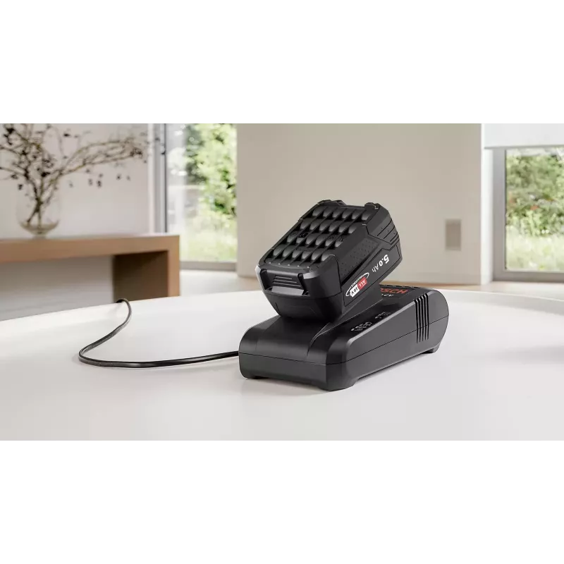 Bosch Serie 8 BSS825ALL belaidis dulkių siurblys / elektrinė šluota