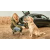 Bosch Fontus 18V belaidis aukšto slėgio plovimo aparatas vertikalus