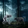 Schleich Wizarding World žaidimų rinkinys Haris Poteris Vilkolakis prieš Animagus figūrėlės, kolekcionuojamos figūrėlės