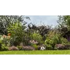 Bosch GardenPump18V-2000 siurblys sodo vandeniui 2000 l/h
