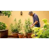 Bosch GardenPump18V-2000 siurblys sodo vandeniui 2000 l/h