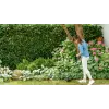 Bosch EasyGrassCut 23 23 cm 280 W AC Juoda, Žalia