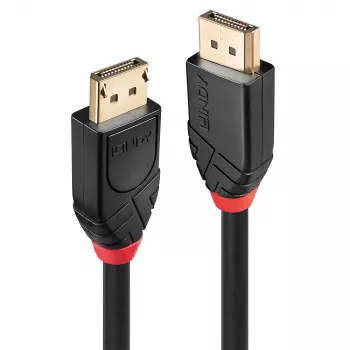 Lindy 20 m aktyvus DisplayPort 1.2 laidas