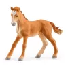 schleich HORSE CLUB Lakeside Riding Center – Žirgų sporto centras prie ežero