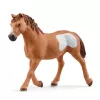 Schleich Cowgirl Team Roping Fun žaidimo rinkinys, 3–8 m., įvairių spalvų