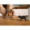 schleich Vakarų Jodinėjimo Nuotykiai, 3 m., Įvairiaspalvis