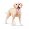 schleich Vakarų Jodinėjimo Nuotykiai, 3 m., Įvairiaspalvis