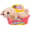 Moose Toys Little Live Pets My Really Real Puppy Mini's – Golden Retriever Buddy interaktyvus šuniukas