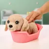 Moose Toys Little Live Pets My Really Real Puppy Mini's – Golden Retriever Buddy interaktyvus šuniukas