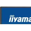 Monitorius iiyama ProLite X2792QSU-B1 27 colių QHD LED juodas