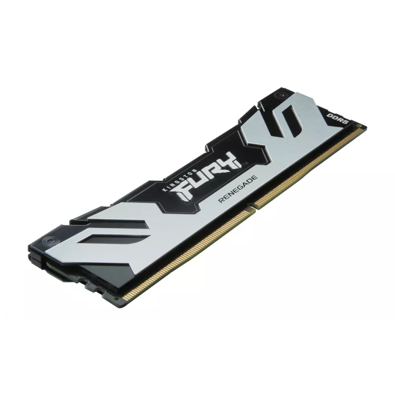 Kingston FURY Renegade 32 GB DDR5 6400 MT/s CL32 DIMM sidabrinė