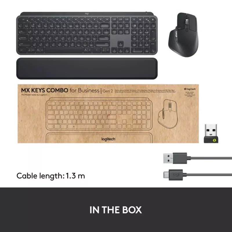 Klaviatūros ir pelės rinkinys Logitech MX Keys Combo for Business Gen 2