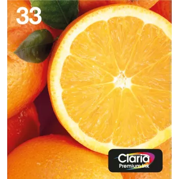 Epson Oranges Multipack 5 spalvų 33 Claria Premium Ink EasyMail rinkinys