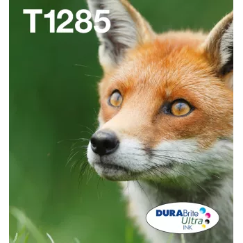 Originalūs Epson Fox T128 EasyMail rašalo kasetės, 4 spalvos (juoda 5,9 ml; mėlyna/rausvai raudona/geltona 3,5 ml)