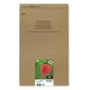 Epson Strawberry Multipack 4 spalvų 29 EasyMail, standartinė talpa, juoda, žydra, purpurinė, geltona, 5,3 ml, 3,2 ml, 1 vnt., multipaketas