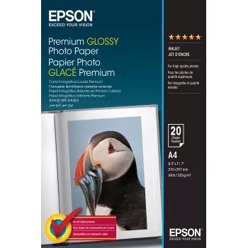 Epson Premium Glossy Photo Paper - A4 - 20 lapų
