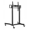 Techly ICA-TR68M elektrinis mobilus TV stovas 55–100 colių (139,7–254 cm) juodas