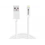 Sandberg USB–Lightning MFI 1 m SAVER, 1 m, Lightning, USB A, vyriškas, vyriškas, balta