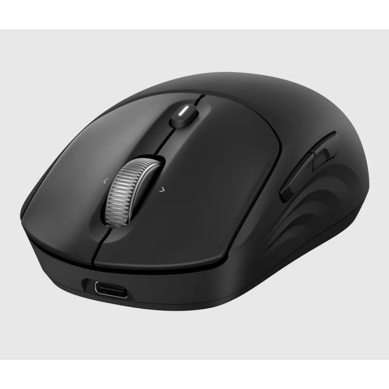 HP 700 belaidė įkraunama pelė, ambidekstrinė, RF belaidis + Bluetooth, 6000 DPI, juoda