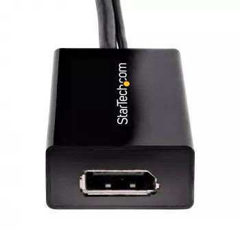 StarTech.com DVI į DisplayPort adapteris su USB maitinimu - 1920 x 1200 - DVI-D į DP keitiklis