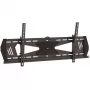 StarTech.com žemo profilio TV laikiklis sienai – pasukamas, 190,5 cm (75 col.), 300 x 200 mm, 800 x 400 mm, -5 – 10°, plienas, juoda