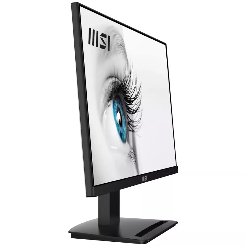 Monitorius MSI Pro MP243X 23.8 col. IPS Full HD 1920x1080