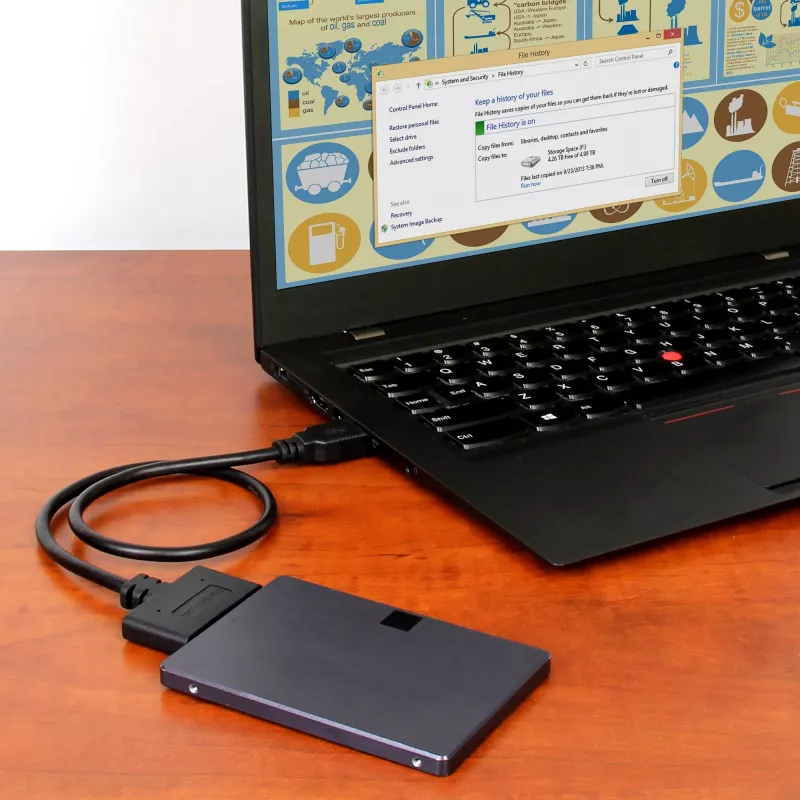 StarTech.com USB 3.1 į 2,5 colio SATA kietojo disko adapteris – USB 3.1 Gen 2 10Gbps su UASP išorinis HDD/SSD saugyklos keitiklis