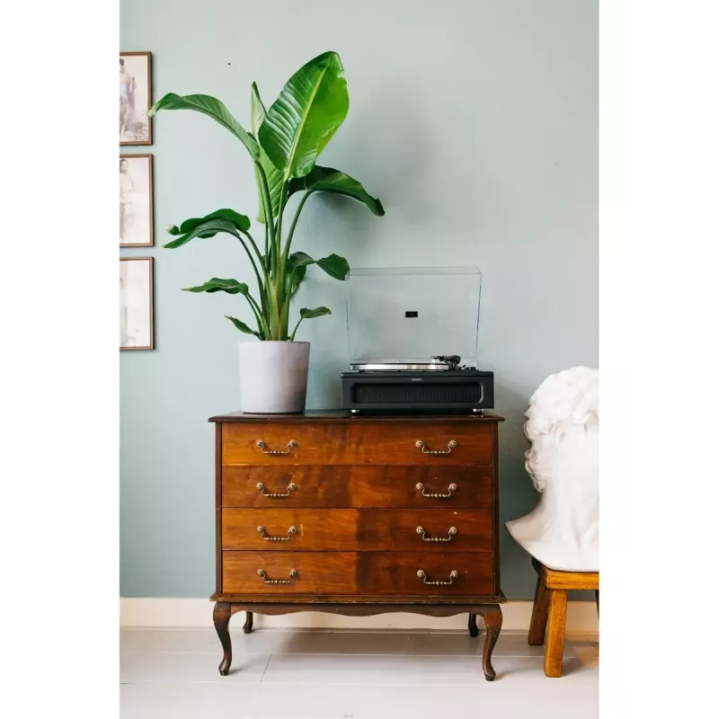 Pavarų diržu varomas vinilo grotuvas Lenco LS-430BK juodas 40W Bluetooth