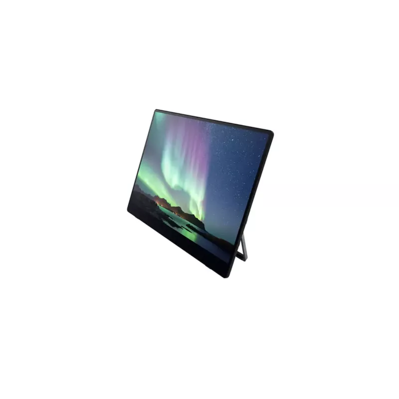 Nešiojamas monitorius Ricoh Portable Monitor 150BW 15.6 colio OLED 1920 x 1080