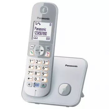 DECT belaidis telefonas Panasonic KX-TG6811GS