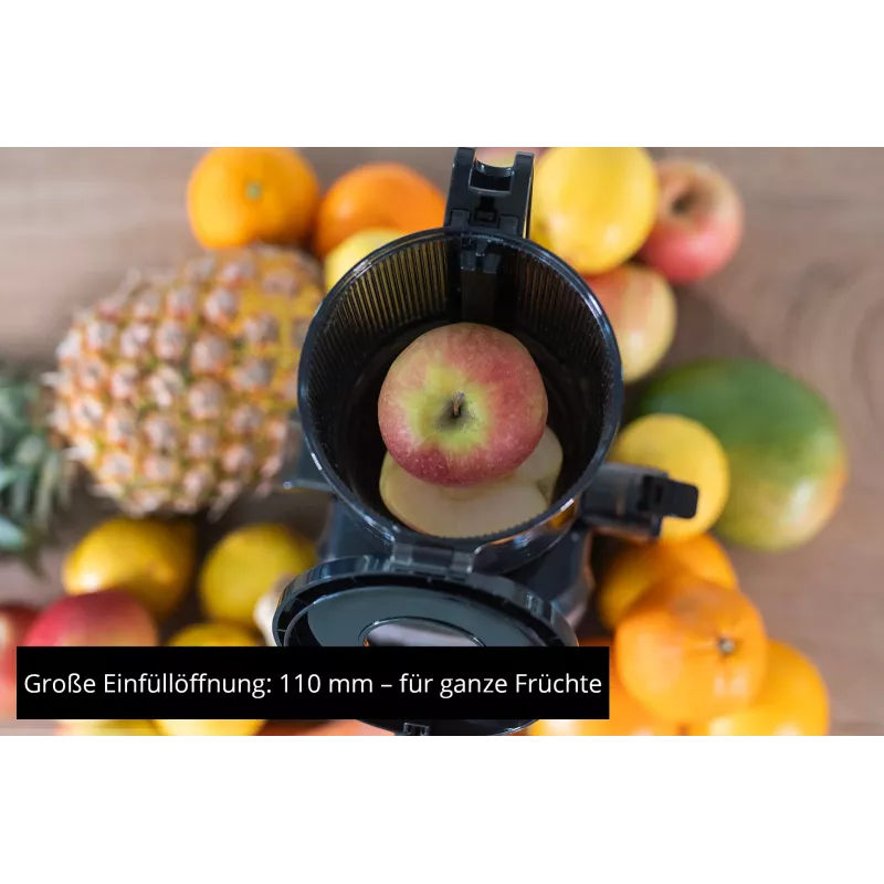 Unold 78275 Sam lėtas sulčiaspaudė 300 W anglies spalvos