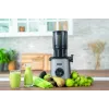 Unold 78275 Sam lėtas sulčiaspaudė 300 W anglies spalvos