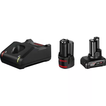 Bosch 1 x GBA 12V 2,0Ah + 1 x GBA 12V 4,0Ah + GAL 12V-40 Professional akumuliatorių įkroviklis