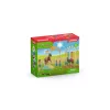Žaidimo figūrėlių rinkinys Schleich Pony agility treniruotė 42481, įvairiaspalvis, plastikas, 3–8 metams