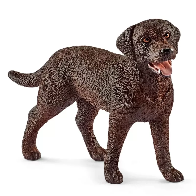 Veterinarinis vizitas ūkyje Schleich FARM WORLD 42503