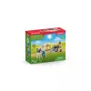Veterinarinis vizitas ūkyje Schleich FARM WORLD 42503