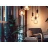Philips Smart lemputė 1 vnt. G93 E27 Filament