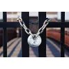 Diskusinis spyna ABUS 25/70 kd su raktu 5 raktai 7cm
