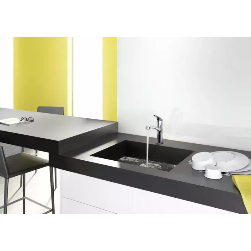 Hansgrohe Focus M41 vienos rankenėlės virtuvės maišytuvas 160, 1jet, chromas