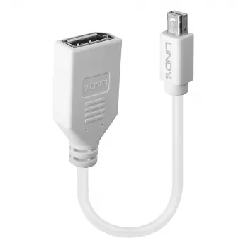 Lindy 0.20 m Mini DisplayPort į DisplayPort adapterio laidas