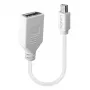 Lindy 0.20 m Mini DisplayPort į DisplayPort adapterio laidas