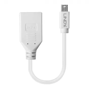 Lindy 0.20 m Mini DisplayPort į DisplayPort adapterio laidas