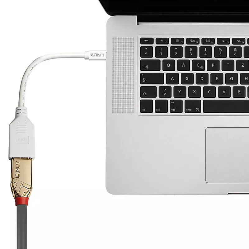 Lindy 0.20 m Mini DisplayPort į DisplayPort adapterio laidas