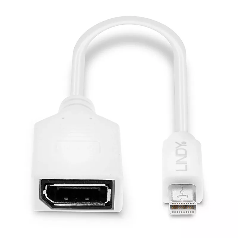 Lindy 0.20 m Mini DisplayPort į DisplayPort adapterio laidas